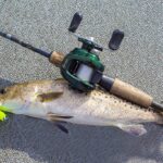 Conquer the Coast: Your Ultimate Guide to Surf Fishing Lures