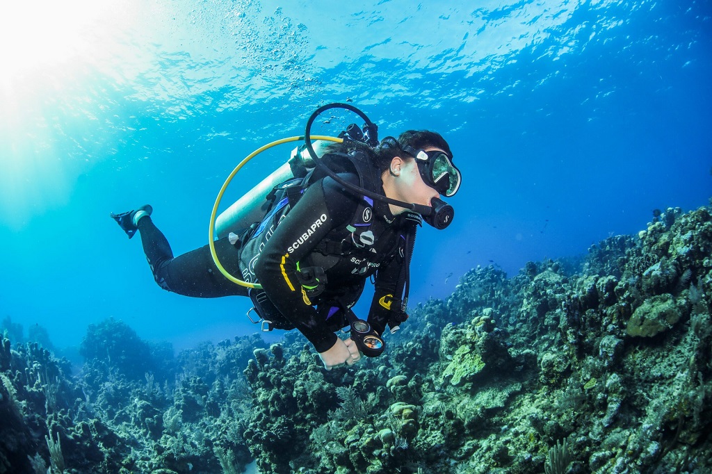What wetsuits do navy SEALs wear