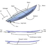 How Surfboard Rocker Affects Performance: The Complete Guide