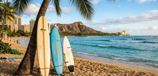 Three surfboards standing against a palm tree on a Hawaiian beach.